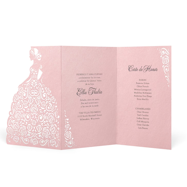 Exquisite Ball Gown in Pink Quinceanera Invitation