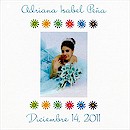 Dazzling Daisies Quinceñera Invitation