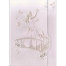 Take Flight In Pink Quinceañera Invitation